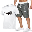 Camisa Lacoste + Brinde (Bermuda Lacoste Cinza)